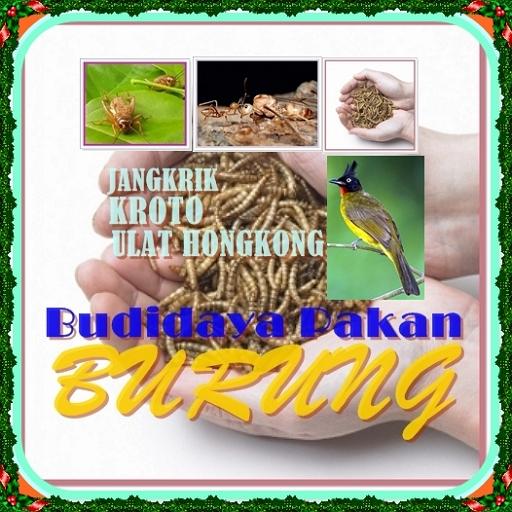 Budidaya Pakan Burung icon