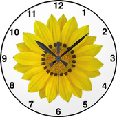 Sunflower Clock Live Wallpaper icon