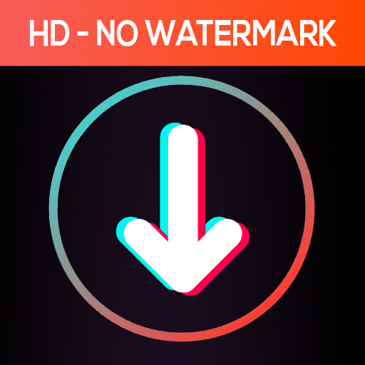 Download Video No Watermark - SaveTik icon