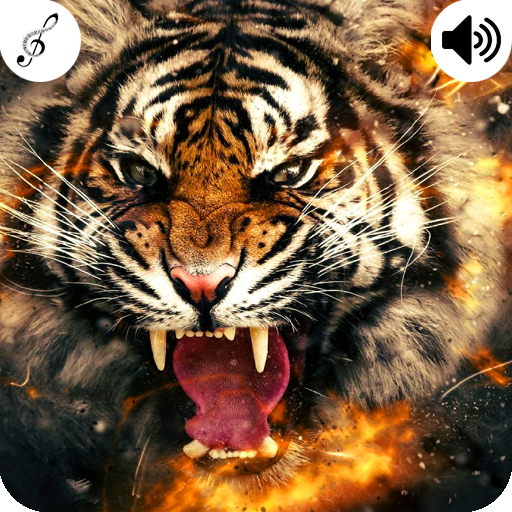 Tiger Sound icon