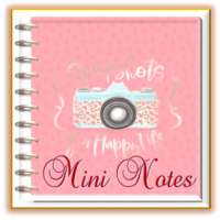 Mini Diary Notes