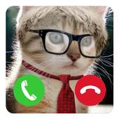 Fake Call Cat Prank icon