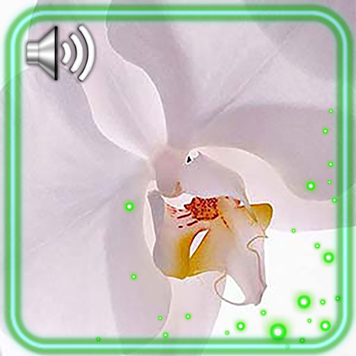 Music Orchid icon