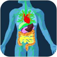 Gut Microbiome on 9Apps