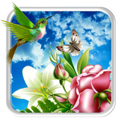 Humming Bird Live wallpaper icon