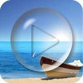 PIP Video Player