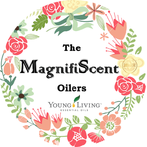 My Virtual Office icon