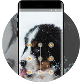 Lock theme for puppy pet snow cute dog icon