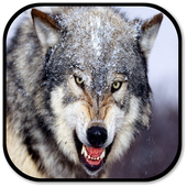 Wolf Sounds icon