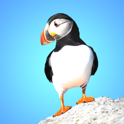 Animal Ringtones - Animal Sounds Ringtones icon