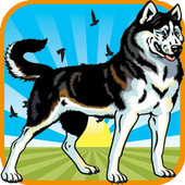 Dog Jungle Run icon