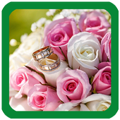 Roses Flowers Wallpaper icon