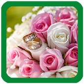 Roses Flowers Wallpaper