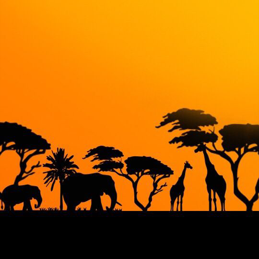 African Wallpaper 4K icon