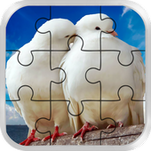 Love Birds Jigsaw puzzle :  Paradise for toddler icon