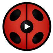 Videos de Ladybug on 9Apps