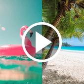 Summer Video Live Wallpaper icon