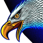 KING UNITED  VPN icon