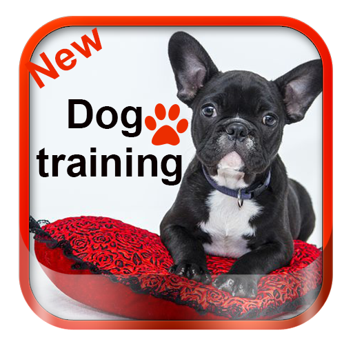 Dog training icon