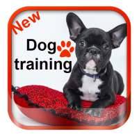 Dog training