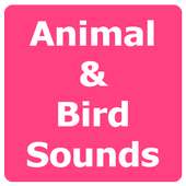 Animal and Bird Sounds Offline