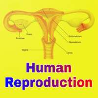 Human Reproduction on 9Apps