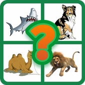 Animal Quiz : Guess The Picture icon