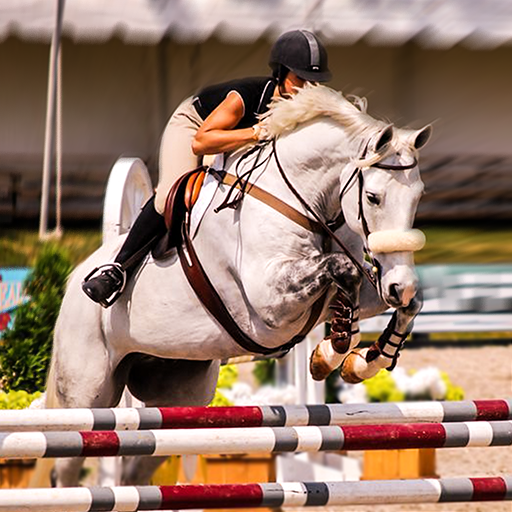 Horse Racing &amp; Jumping Master 3D Stunts icon