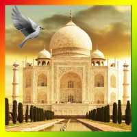 Taj Mahal Birds Live Wallpaper on 9Apps