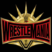 WrestleMania 35 : All Fight Video icon