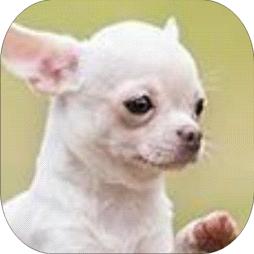 ikon Dog Barking Sounds