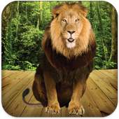 Talking Lion on 9Apps