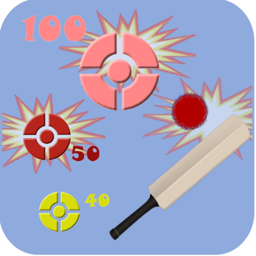 Gully Cricket Practice icon