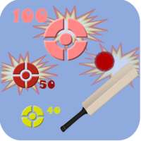 Gully Cricket Practice