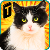 Street Cat Sim 2016 icon