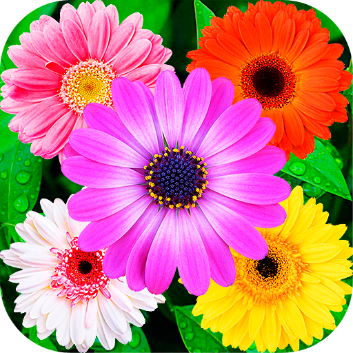 Flowers Stickers for WhatsApp أيقونة