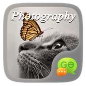 (FREE) GOSMS PHOTOGRAPHY THEME on 9Apps