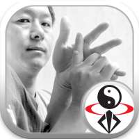 Chin Na in Depth w Dr. Yang, Jwing-Ming