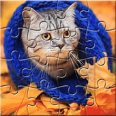 Jigsaw Puzzles Cats icon