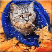 Jigsaw Puzzles Cats