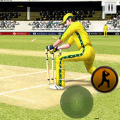 BBH Cricket Worldcup icon