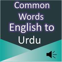 Common Words English to Urdu