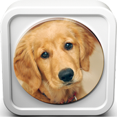 Dog Sound Collection icon
