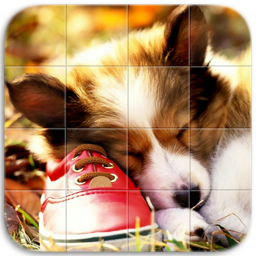 Cute Dogs Puzzle icon