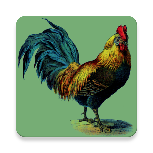 Rooster Alarm and Ringtone Sounds icon