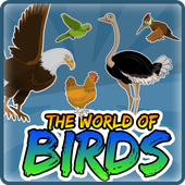 Bird Quiz icon