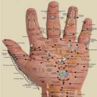 Acupressure Disease Point on 9Apps