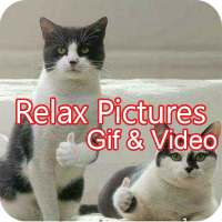 Relax Pictures, Gif And Video