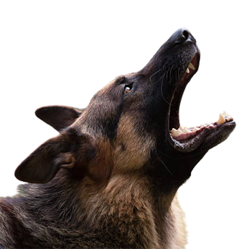 Dog Barking Sounds icon