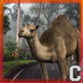 ikon Camel Hump Simulator